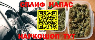 гидра Будённовск