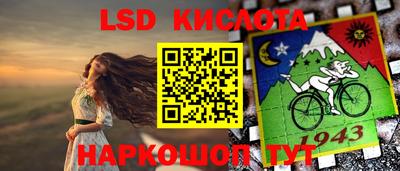 гидра Будённовск