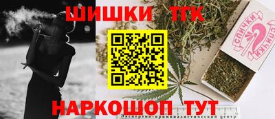 гидра Будённовск