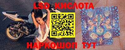 гидра Будённовск